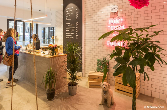 The evolution of animal-friendly establishments