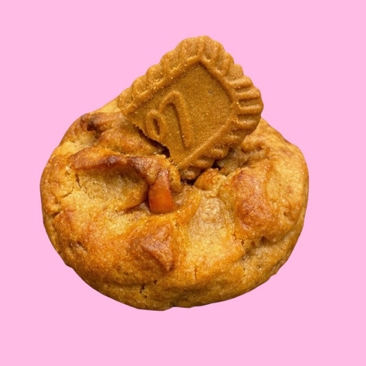 GALLETA MANZANA